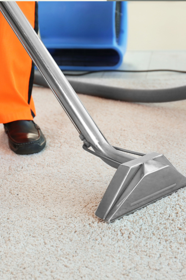 Carpet Cleaning Professional cleaner providing carpet cleaning in a home