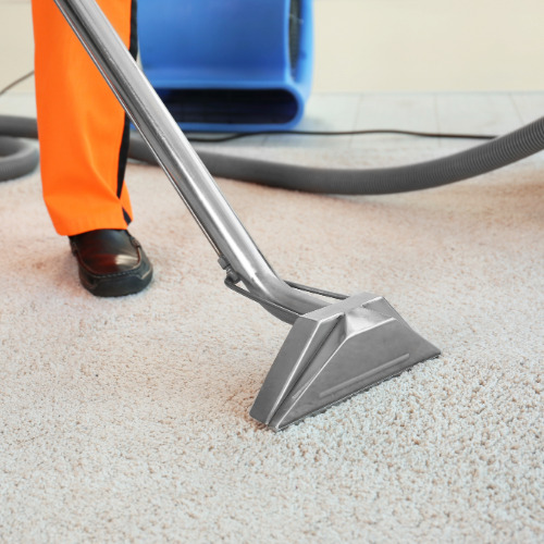 carpet-cleaning-services Professional cleaner providing carpet cleaning in a home