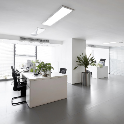 office-cleaning-services Professional cleaner providing carpet cleaning in a home